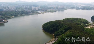 용인시, 기흥호수 산책로 1km 구간에 이팝나무 가로수길 조성