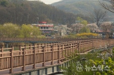 [포토] 모습 드러낸 백운호수 생태 탐방로