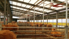 여주시, 축산농가 악취개선 사업 추진