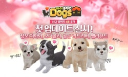 게임펍, 마이프렌즈:독스에 골든 리트리버, 장모 치와와 강아지 추가