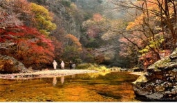 국립공원서 가을 느껴볼까…탐방 명소 5곳은 어디?