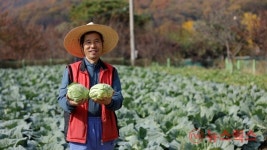 수원시, GAP 인증 농가 확산…안전한 농산물 생산 기반 확대