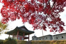 수원시, 시민 투표로 단풍이 아름다운 거리 선정