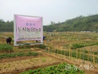 안산시, 2019 주말농장 분양