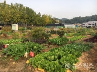 광명시, 주말농장 운영 가족·단체 모집