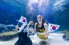 한화 아쿠아플라넷 제주, 삼일절 맞아 국가유공자 무료 입장 제공
