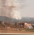 안성 산불, 금광면 장죽리서 발생
