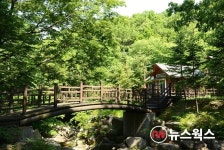 용인시, 백암면에 체류형 관광단지 팜 앤 포레스트 타운 조성
