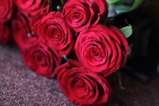 로즈데이, 연인에게 주지 말아야 할 장미 색깔은?