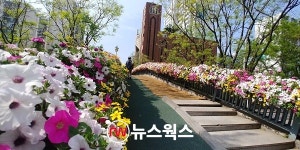 안양시 교량·육교 7곳에 꽃장식 활짝