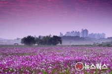 수원시, 당수동시민농장 추억 담은 백서 출간