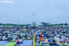 그린플러그드 경주 2019, 오늘 블라인드 티켓 오픈