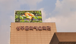 성주문화예술회관 대형 전광판 설치 완료