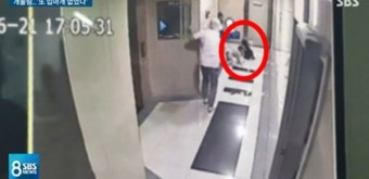폭스테리어 사고에 설채현 수의사 