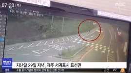제주 실종 남고생 CCTV 영상 보니…계속 남쪽으로 걸어갔다