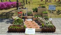 대구시, 한평텃밭 만들기 경진대회 참가자 모집