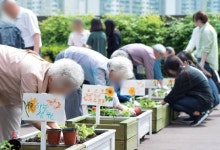 치매안심센터 전문인력 충족률 67%…전주보건소는 1명이 443명 담당