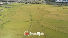 이천시 구만리뜰 시민 휴식공간과 역사 배움터로 조성한다