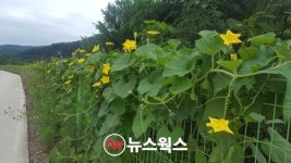 경기 광주시, 명품둘레길 경안천 누리길 2차 조성사업 14억 확정…내년 추진