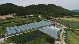 뽕디이레농원, 프리미엄 뽕디 뽕잎가루로 우리 농산물 장점 알린다