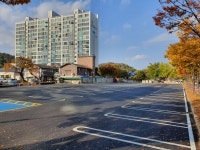 고령군, 대가야광장 주차장 임시 개방