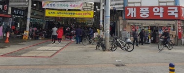 포항 죽도시장 지상 변압·개폐기 지중화 공사 완료