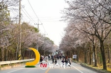 여주시, 명품 가로수길 창출에 전력…관리지침 용역 착수