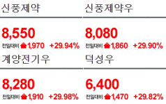 [5일 특징주] 신풍제약·신풍제약우·계양전기우·덕성우上...삼성SDI 역대 최고가 달성