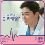 슬기로운 의사생활 조정석 아로하 1위… 지니 4월 월간차트 드라마 OST 휩쓸어