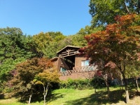 칠곡군, 송정자연휴양림 운영 재개