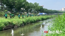 안산시새마을회, 생태하천복원운동 전개