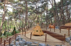 대구 달서구, 달서별빛 숲속·생태놀이터 조성