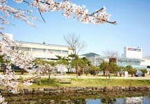 한국전통문화대학교, 1학기 재학생 전원에 37만 원 장학금 지급