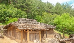 바캉스 시작…코로나 피해 떠나는 추암 촛대바위와 삼척 문화제과점