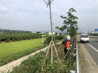 경산시 관내 주요 도로변 풀깎기 작업