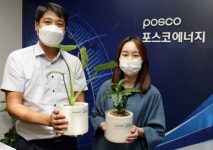 포스코에너지 "임직원 걷기 이벤트 연계, 강원도 삼척에 나무 421그루 또 심어"