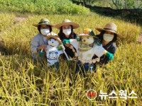 화성시, 생태학습장 논에 어린이들이 만든 허수아비 설치