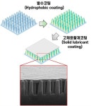 상처 스스로 회복하는 자기 세정 유리 개발
