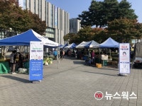 용인시, 기흥역·수지구청서 로컬푸드 직거래장터 운영...19일~12월 초까지