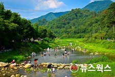 경기도, 청정계곡 관광명소화 기반 다진다…SNS 홍보·관광프로그램 운영