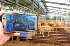 영양군, 한우 축산 농장 대상 스마트축사 ICT 융·복합기술 장비 보급