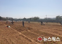 수원시, 시민농장 텃밭 체험 참여자 모집…25일부터 접수