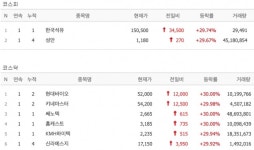 [25일 특징주] 한국석유·성안·홈캐스트·현대바이오 등 8개 종목 상한가