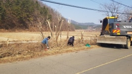 영천시 대창면, 주요 도로변 잡목 제거