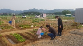경산시 도시농업 공영농장 큰 호평