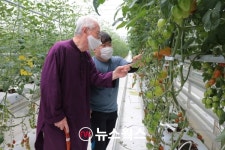 발달장애인 일터 푸르메소셜팜, 장애청년 34명과 방울토마토 첫 수확