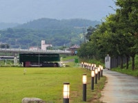 영천시, 신녕강변공원 산책로 정원등 설치…시민 안전책 마련