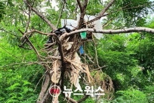 수원시지속가능도시재단 물환경센터, 서호 인공섬 생태환경 실태조사