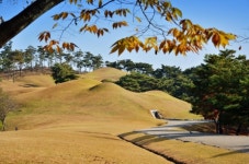 공주 송산리 고분군, 공주 무령왕릉과 왕릉원 개명