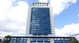 강릉시, 상반기 적극행정 우수사례에 송정해변 송림 보존사업 선정